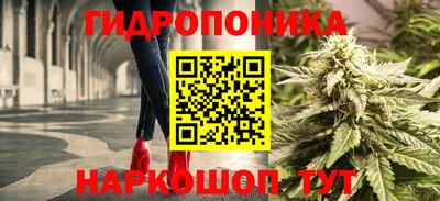 крисы Можайск