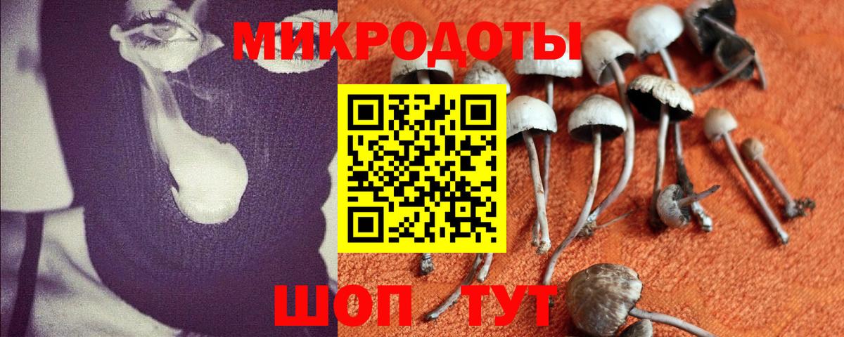 Псилоцибиновые грибы прущие грибы Сланцы